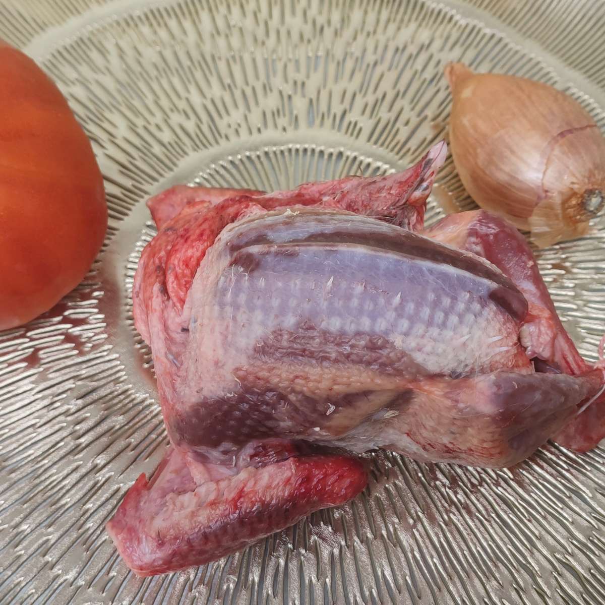 Pigeon prêt à cuire /Kg